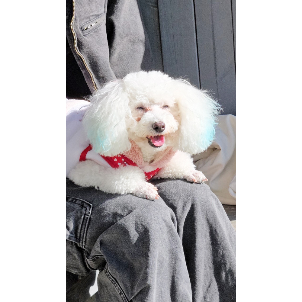 卒業犬ビオレちゃん、初めてづくし！
